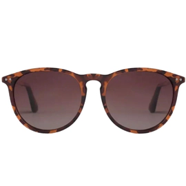 Anteojo de Sol Rusty Zion SDEMI DGUN DRT 15 Polarizado