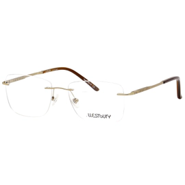 Anteojo de Vista Westbury 819 Matt Gold