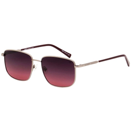 Anteojo de Sol Westbury WE3125 Matt Gun Polarizado.