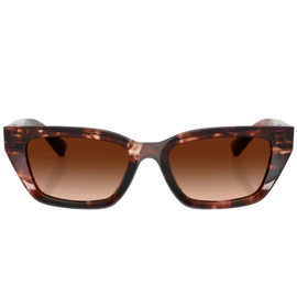 Anteojo de Sol Dolce & Gabbana DG4532 322274.