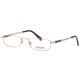 Anteojo de Vista Westbury 748 54 Gold