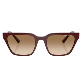 Anteojo de Sol Armani Exchange Ax4158S 838389 55