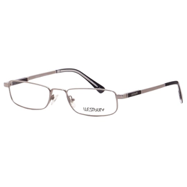 Anteojo de Vista Westbury 748 54 L Gun