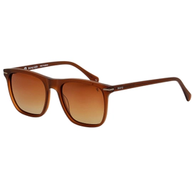 Anteojo de Sol Belong DY S175 Terra Polarizado