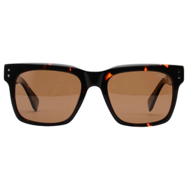 Anteojo de Sol Ay Not Dead Carey AY250 200 17 Polarizado