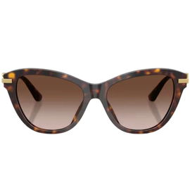 Anteojo de Sol Dolce & Gabbana DG4534 502 13