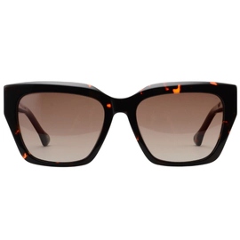 Anteojo de Sol Cima Playful Max 3 Carey y Marrón Polarizado