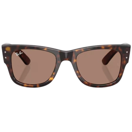 Anteojo de Sol Ray Ban Wayfarer Rb0840S 902/1A 51