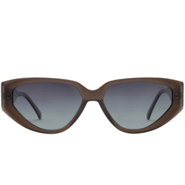 Anteojo de Sol Ay Not Dead AY253 Marrón Translúcido Polarizado