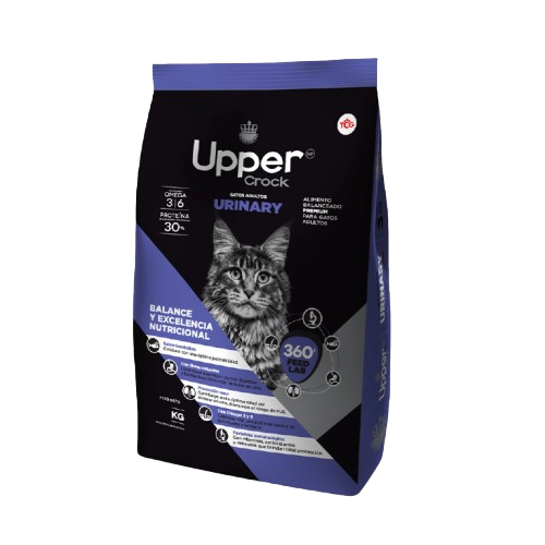 upper urinary
