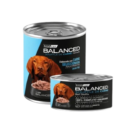 Lata Perro Soufflé de Carne