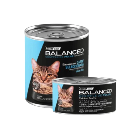Lata Balanced gato