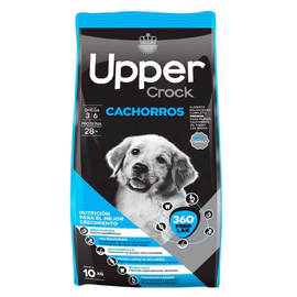 Upper Cachorros