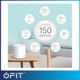 TP Link DECO-X60 (2 Pack)