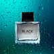 Black Seduction For Men EDT 100 ML .