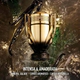 Invictus Elixir 100 ml