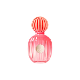 The Icon Splendid EDP  50 ML