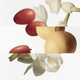 Le Jardin De Monsieur Li EDT 100 ML