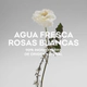 Agua Fresca de Rosas Blancas EDT 120 ML