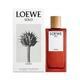 Solo Loewe Cedro EDT 100 ML