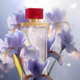 Beauty EDP