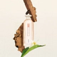 Memori Cedre Secret EDP
