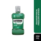 Listerine Proteccion Dientes & Encias 250ml