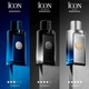 The Icon EDT 100 ML
