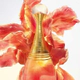 JÂ´Adore EDP Infinissime 30 ml