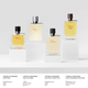 Terre d Hermes Intense Vetiver EDP 50 ML