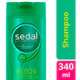 Sedal Rizos Definidos Shampoo X 340 Ml
