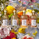 Aqua Allegoria Rosa Rossa EDT