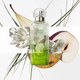 Un Jardin Sur Le Toit EDT 100 ML