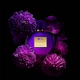 Her Secret Desire EDT 80 ML