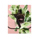 Valentino Uomo Born In Roma EDT 50 Ml