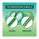 Shampoo Fructis Aloe Hidra Clean 200 Ml