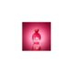 Antonio Banderas The Icon Fem Eau de Parfum 100 Ml