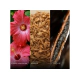Lattafa Yara Edp 100 Ml