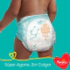 Pañales Pampers Supersec Max Talle G x44un