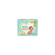 Pañales Pampers Premium Care XG x36u