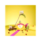 AGATHA RUIZ DE LA PRADA LOOK GOLD EDT 80ML