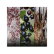 Badee Al Oud Glory Spray Edp 100Ml
