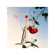 Flower By Kenzo L´Absolue Edp 100 Ml