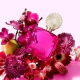 Shakira EDP Fucsia x80ml