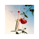 Flower By Kenzo L´Absolue Edp 50 Ml