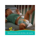 Pañales Pampers Confort Sec Grande x44un