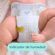Pampers Pañales Deluxe Protection Talle Pequenos 36 Unidades