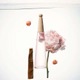 Issey Miyake L’Eau D’Issey-2