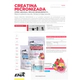 Creatina micronizada sin sabor 150 gr