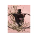 Valentino Uomo Born In Roma EDT 50 Ml